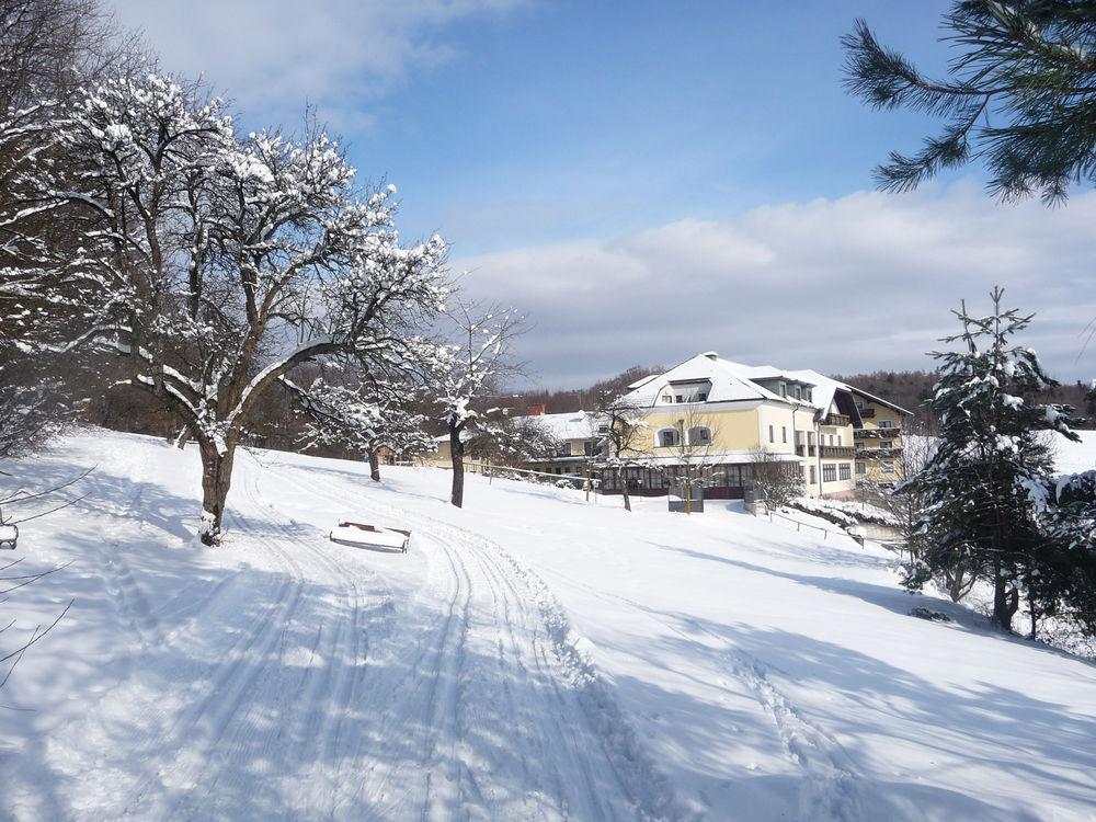 Wienerwaldhof Rieger Hotel Tullnerbach-Lawies